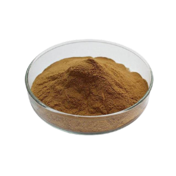 Food Antioxidant natural antioxidant rosemary extract Manufactory